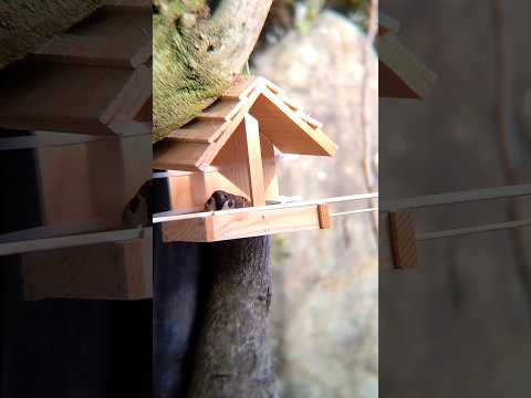 なぜ鶏や野鳥の餌箱に砂を入れるのでしょうか？  庭園