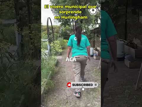 Este lugar de Hurlingham produce miles de plantas