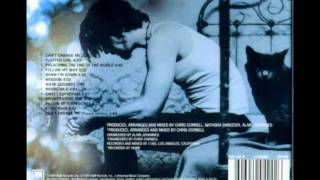 Chris Cornell - Disappearing One (Euphoria Morning)