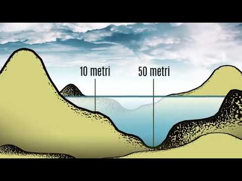 Dentro e attorno la Foresta, "pillole" di curiosità: l'Antico Bacino Tiberino