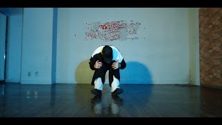 【人間？】踊ってみた【シンダテンシ】オリジナル振り付け