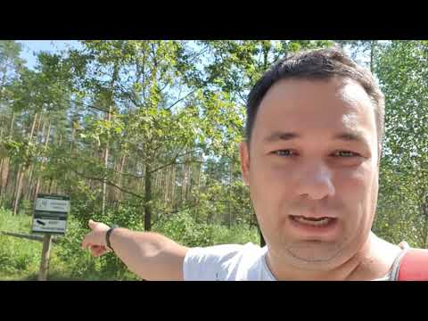 Rezerwat Obary - wycieczka i jak dojechać?