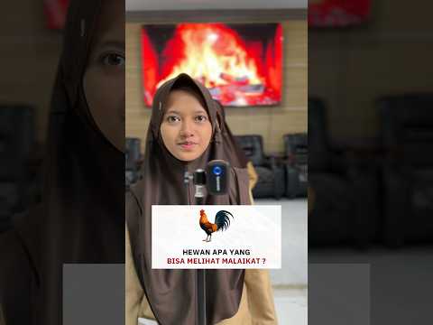 Pengetahuan hewan dalam Islam ‼️