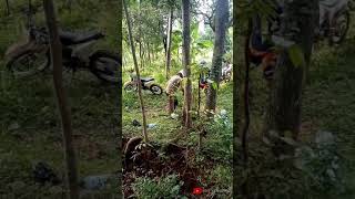 Download lagu Hareudang story WA #shorts mp3