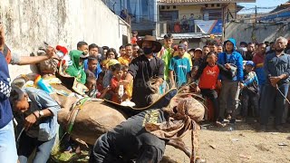 Download lagu Kuda Renggong Jatuh Saat Atraksi mp3