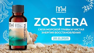 Zostera