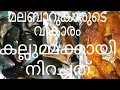 kallummakkayi nirachathu കല്ലുമ്മക്കായി mussels നിറച്ചത് recipe