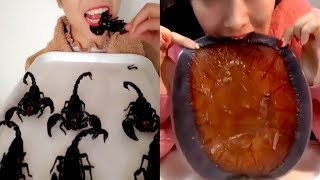 TRULY BEST Weird Strange Food Eating|Scorpions Insects Eating|Chinese Live Food Eating UNSATISFYING!