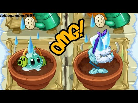 Iceberg Lettuce  & Cold Snapdragon Animation In Zen Garden - Plants vs. Zombies 2