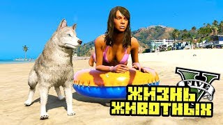 ПЁС СПАС ТОНУЩУЮ ДЕВУШКУ! ЖИЗНЬ ЖИВОТНЫХ В GTA 5. Серия 7