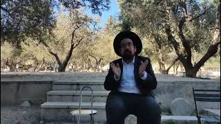 ישראל מעל הטבע | הרב אליהו ובר (ישיבת הר הבית) - התמונה מוצגת ישירות מתוך אתר האינטרנט יוטיוב. זכויות היוצרים בתמונה שייכות ליוצרה. קישור קרדיט למקור התוכן נמצא בתוך דף הסרטון ישראל מעל הטבע | הרב אליהו ובר (ישיבת הר הבית) - התמונה מוצגת ישירות מתוך אתר האינטרנט יוטיוב. זכויות היוצרים בתמונה שייכות ליוצרה. קישור קרדיט למקור התוכן נמצא בתוך דף הסרטון