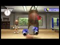 Wii Sports Training Boxing