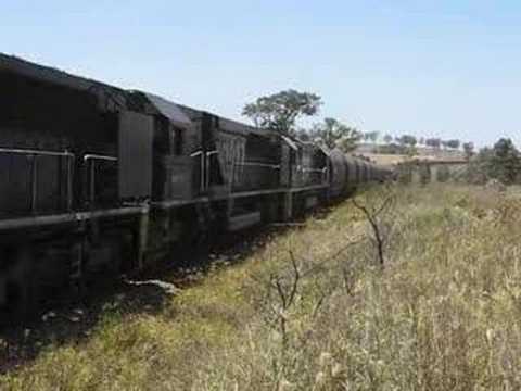 Coalies in The Hunter Valley