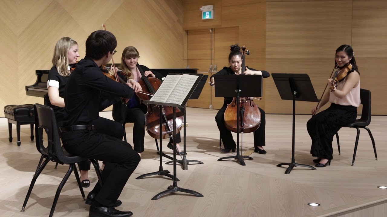 Hire Solo Violinist Violinist in Vancouver, British Columbia