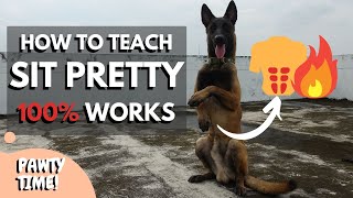 Teach Your Dog To Sit Pretty | Still Can&#39;t Sit Pretty? Try This Method!