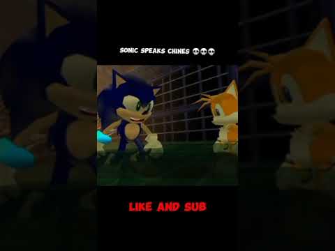 Sonic speaks chines💀 #meme#viral