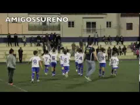 C.D. BUZANADA -A- U.D. IBARRA-A- 31-1-2014