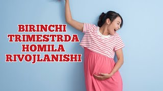 Homilaning 1 trimestrda rivojlanishi