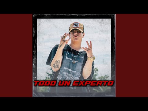 Todo un Experto