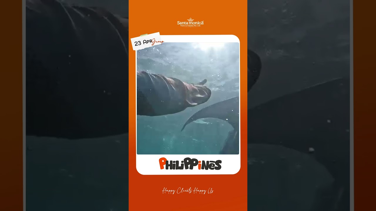 Video Review - Philippines package
