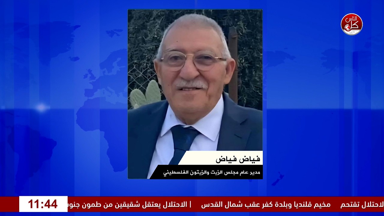 على أبواب موسم الزيتون.. استعدادات مبكرة وتوقعات الإنتاج