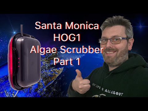 Santa Monica Hog 1 algae scrubber