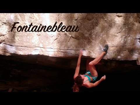 Bouldering in Fontainebleau | Summer Sends