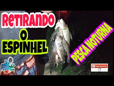 🎣PESCARIA DE ESPINHEL recolhendo ESPINHEL