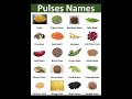 Pulses Names | Learning English