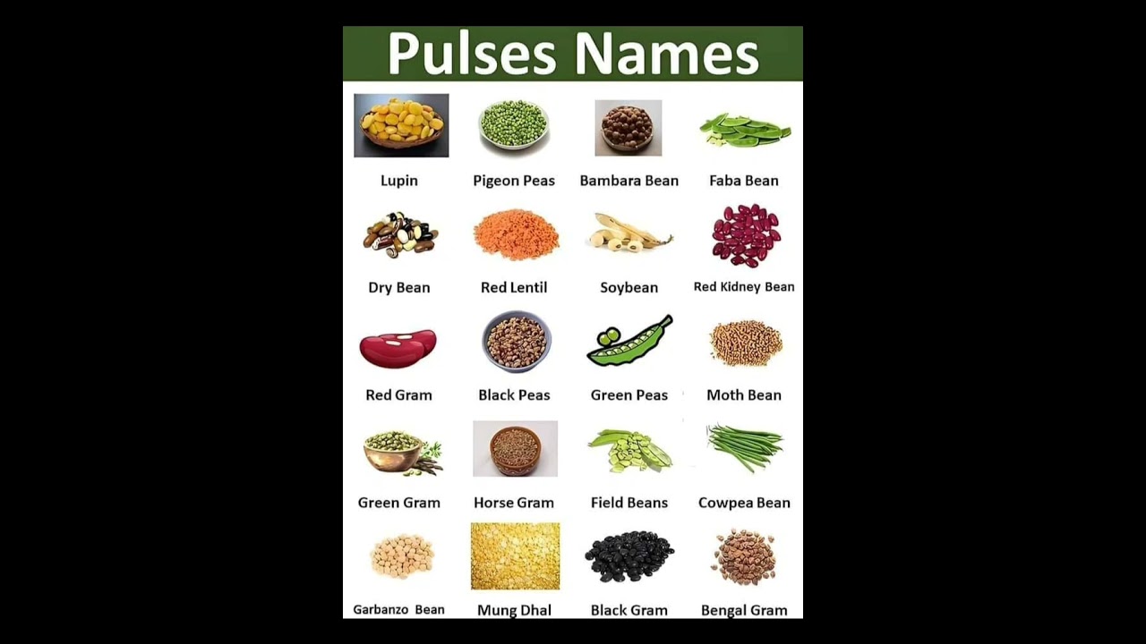 Pulses Names | Learning English