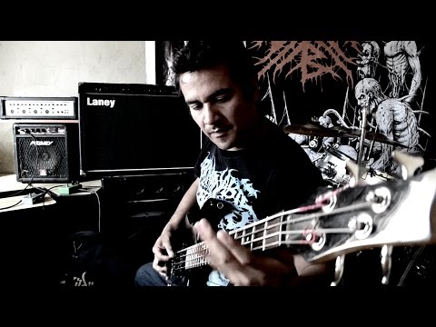 GASTRORREXIS - EMBRIONICAL GENETIC DISORDER (FEAT. LARRY WANG) [SINGLE] (2017) SW EXCLUSIVE