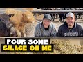 Pour Some Silage On Me Pour Some Sugar On Me Parody