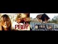 Prey (2007) HD Movie Hindi Dubbed.