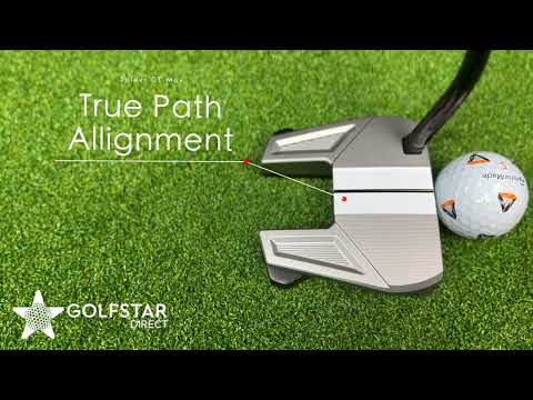 Spider GT Max Putter