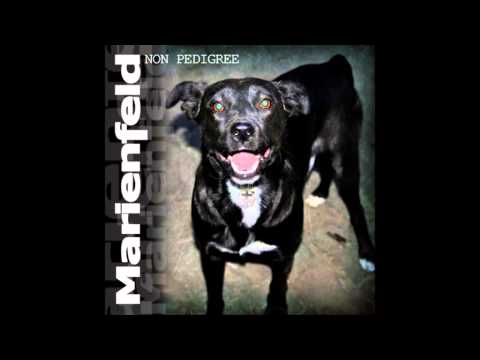 MARIENFELD ft. DANIEL POLYESTER SHOCK-Pet Sematary (RAMONES Cover)