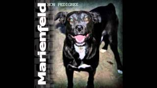 MARIENFELD ft. DANIEL POLYESTER SHOCK-Pet Sematary (RAMONES Cover)
