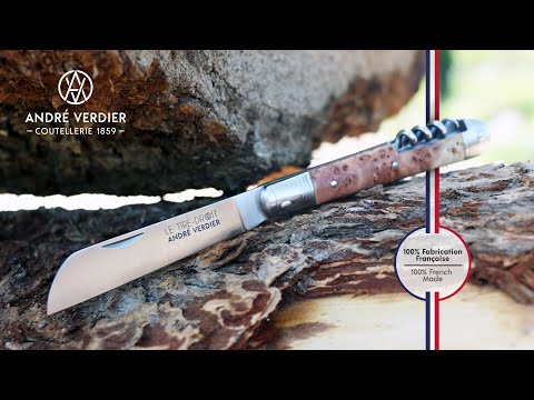 Μαχαίρι steak debut 12cm ασπρόμαυρο 70VIESP Laguiole