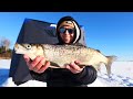 Video Thumbnail for I landed over a school of whitefish