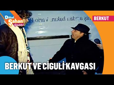 Berkut ve Ciguli kavga ediyor! - Dikkat Şahan Çıkabilir