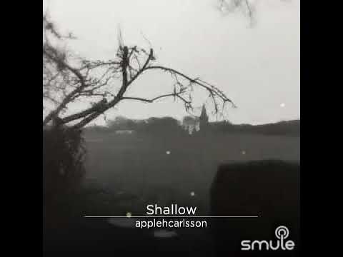 Shallow (cover) - Melina Carlsson