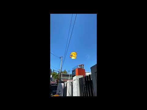 3년 묵고 온 버즈 내가 아니죠..