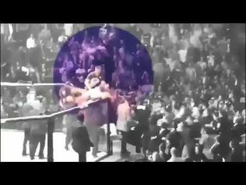 #ufc229 #khabib conor started it . then they jumped inside to beat him