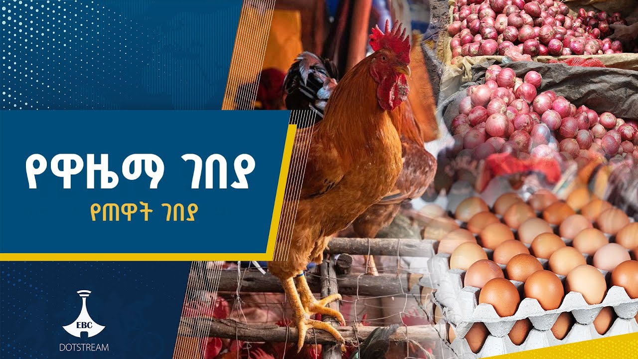 የአዲስ ዓመት ዋዜማ የገበያ ቅኝት ETV | EBC | EBCDOTSTREAM