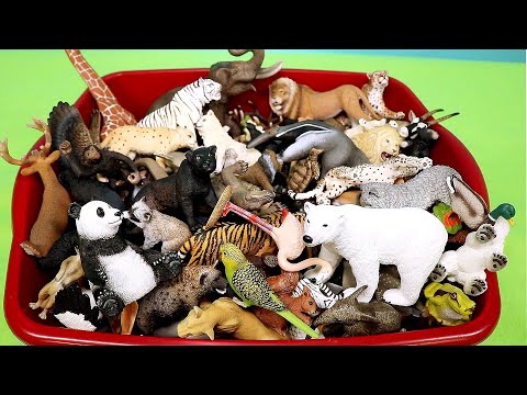 Wild Animal Figurines - Learn Animal Names
