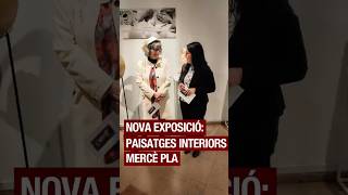 Nova exposició: Paisatges interiors, de Mercè Pla