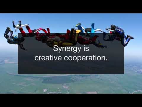 The Nature of Synergy