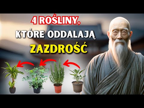 4 ROŚLINY, KTÓRE ODDALAJĄ ZAZDROŚĆ, ZŁE DUCHY I CIĘŻKIE ENERGIE - Mądrość Buddyjska