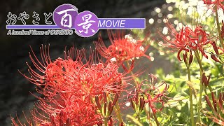 「初秋」『おやさと百景』(70)