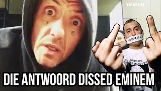 DIE ANTWOORD DISSED EMINEM - Subtitulado