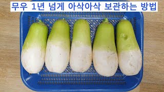 지금 빨리 무우 이렇게 보관하면 1년이 팔팔 합니다 지금 빨리 무우 이렇게 보관하면 1년이 팔팔 합니다